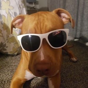 Meet your Posher, James